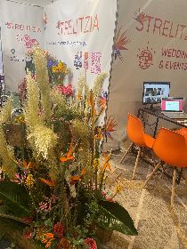 Strelitzia Software Stand