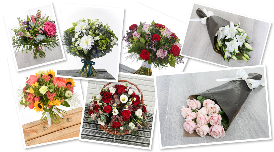 Flower image Collections