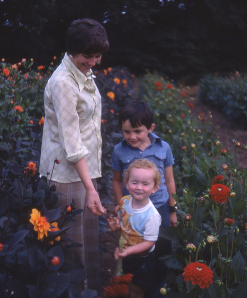 FloristPro beginnings