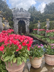 Arundel Castle Tulip Festival 2022