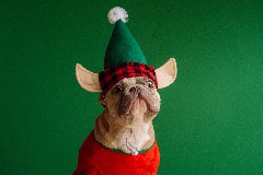 Get your website ready for Christmas