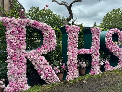 Highlights from RHS Chelsea Flower SHow 2024