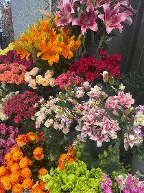 Flower wholesalers