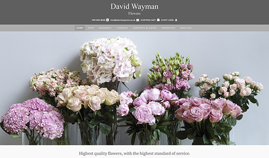 David Wayman