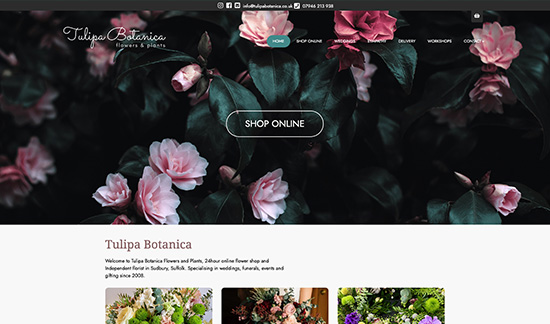 Tulipa Botanica