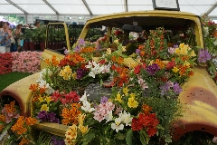 RHS Hampton Court Flower Show 2018