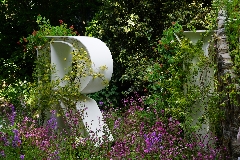 Trends from RHS Chelsea Flower Show 2019