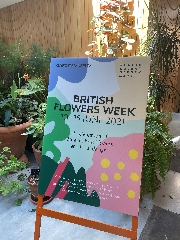 British Flowers Week 2021