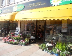 Celebrating 50 Golden Years in Floristry